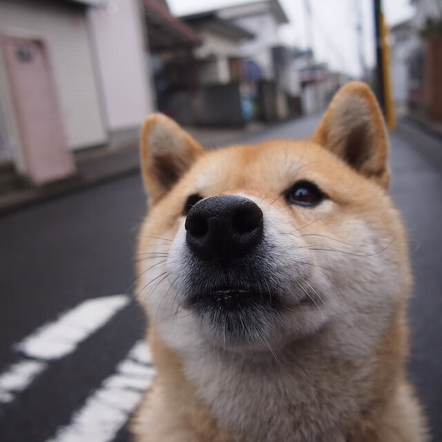 “法甲豪门斗法:战术调整成胜负关键”,德甲豪门足球俱乐部