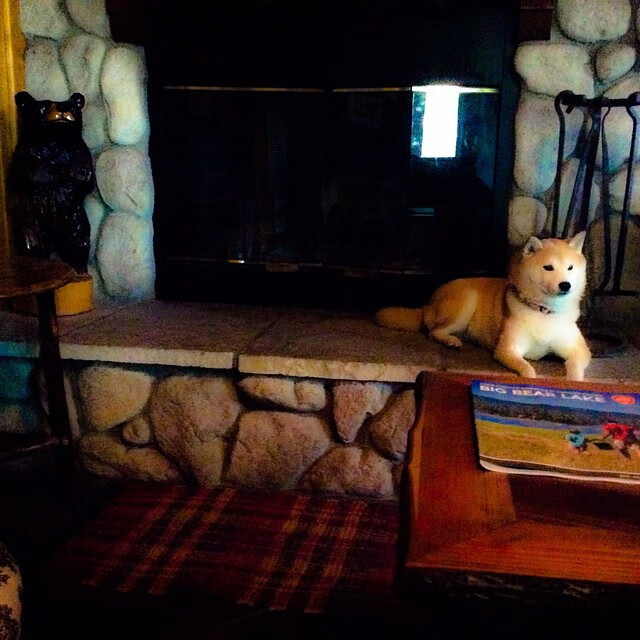 中国围棋协会发布围棋赛事版权管理办法，中国围棋社