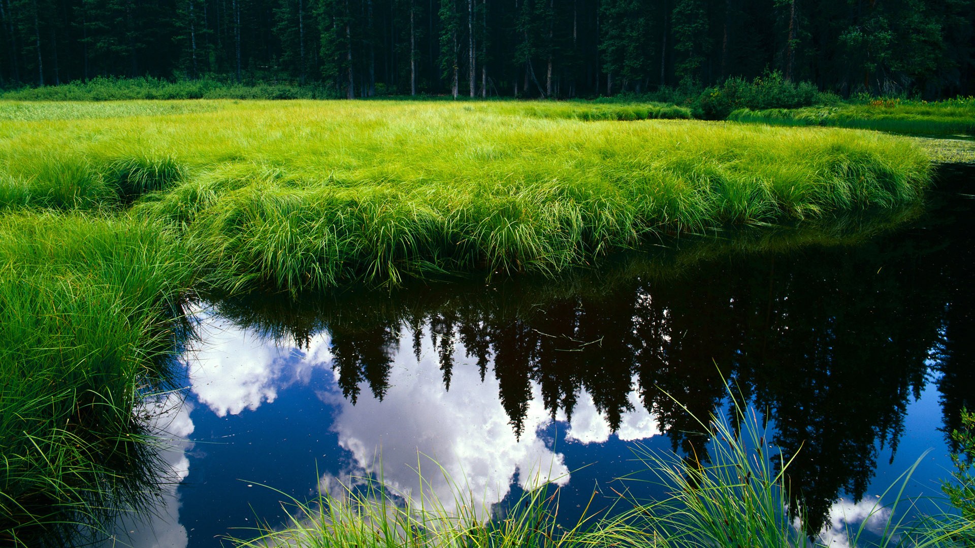 爱游戏平台-全国青少年“篮球+环保”公益行动在武汉全面启动，青少年全国篮球联赛