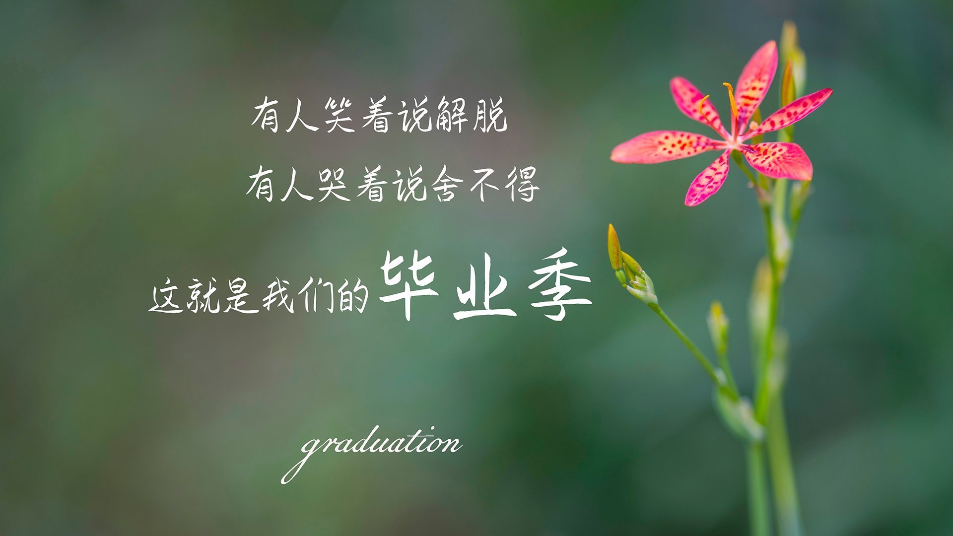 爱游戏官网-尤尼克斯常规赛紧随其后，季后赛势头强劲，尤尼克斯2022