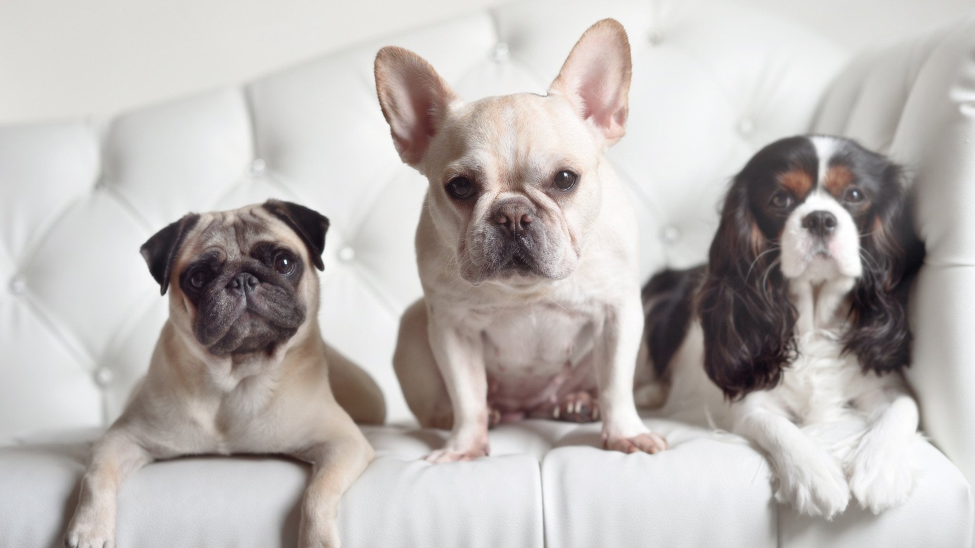 爱游戏中国官方网站平台-希腊在对塞尔维亚的较量中力克对手，希腊到塞尔维亚