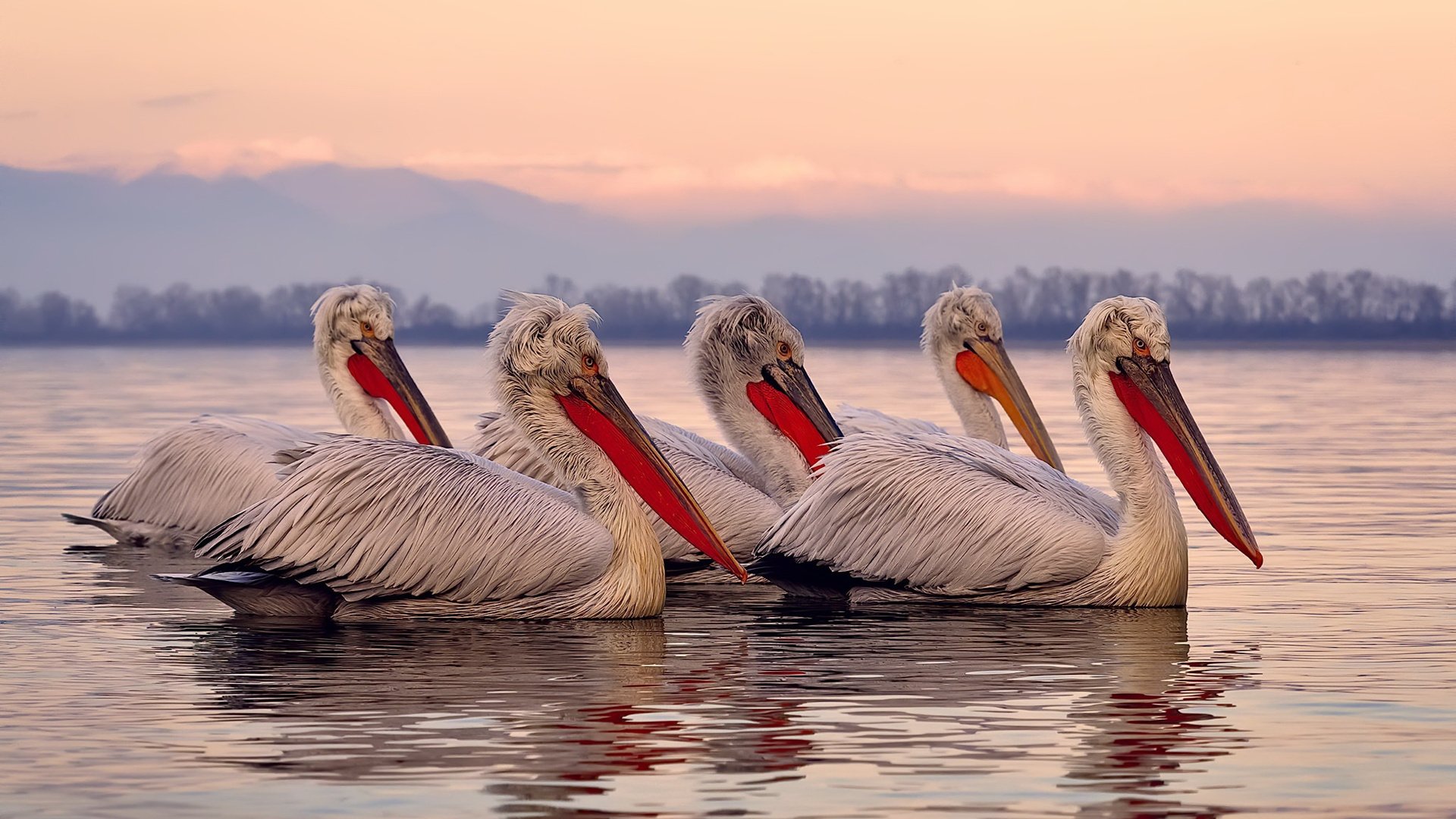 江苏队成功逆袭,球队实力得到验证!,江苏队吧 百度贴吧
