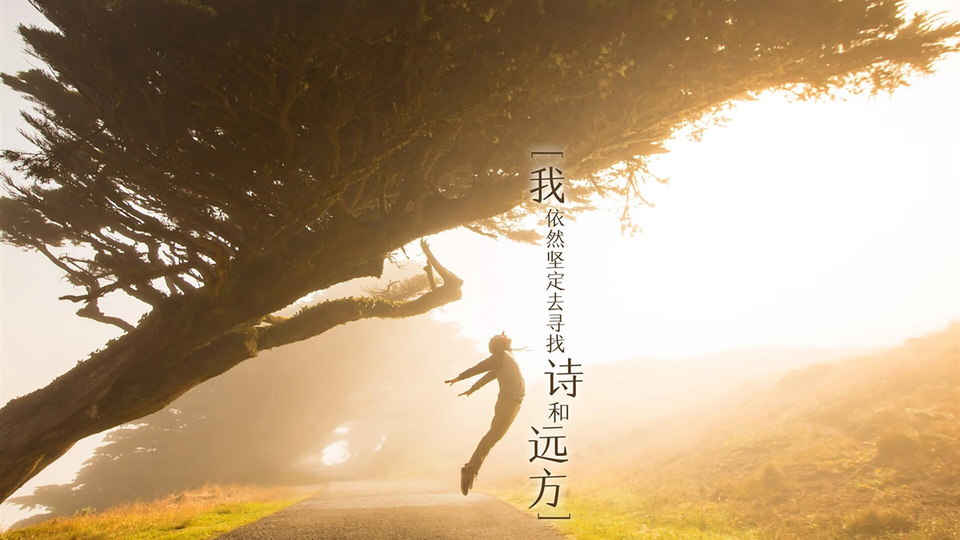 皇家社会主场失利,西甲联赛冠军竞争激烈,西甲皇家社会队