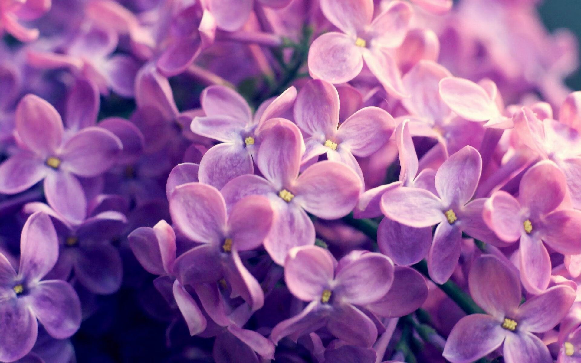 爱游戏娱乐平台-奥运备战加入专项心理适应课程，奥运会心理素质