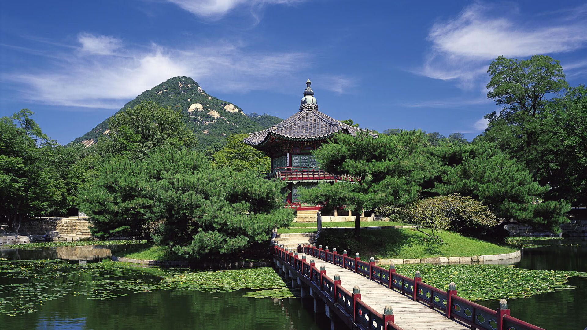 爱游戏app-凯尔特人投篮教练接受专访讲解手型优化重点，凯尔特人球员